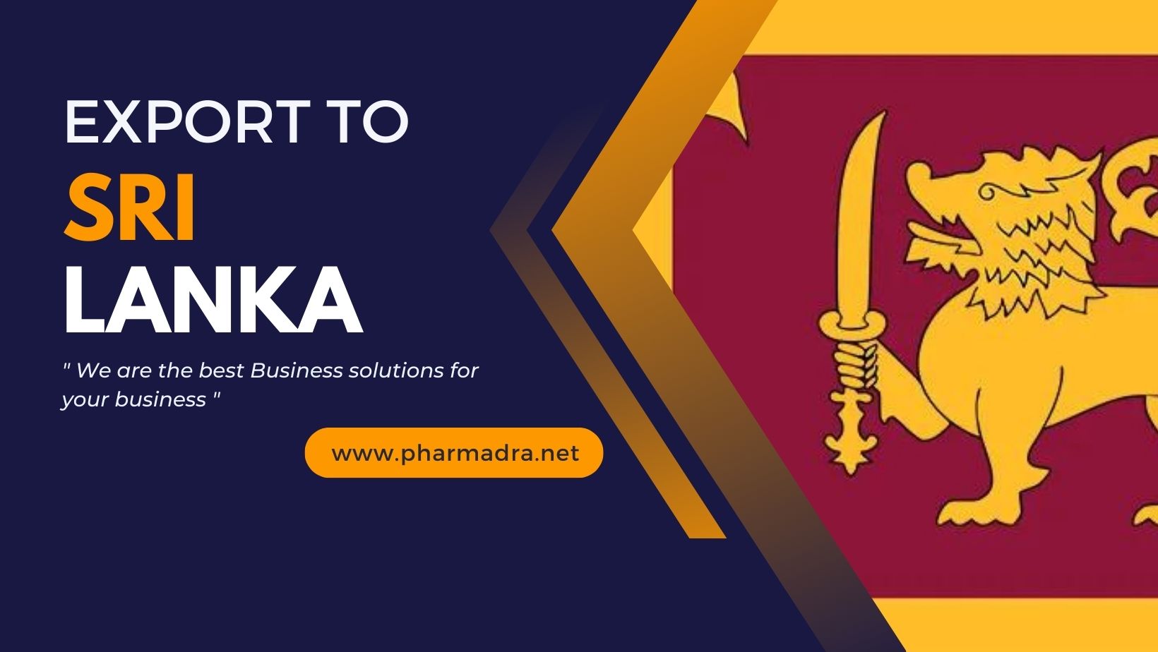 Export to Sri Lanka: Pharmaceuticals